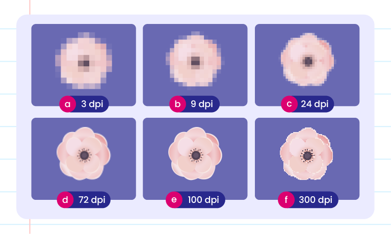 Imej ini menunjukkan enam gambar bunga berwarna merah jambu dengan resolusi yang berbeza. Setiap gambar ditandakan dengan dpi (dots per inch) yang berlainan: (a) 3 dpi: Gambar sangat kabur dan piksel besar kelihatan. (b) 9 dpi: Gambar masih kabur tetapi piksel sedikit lebih kecil. (c) 24 dpi: Gambar mula menunjukkan bentuk bunga dengan lebih jelas. (d) 72 dpi: Gambar bunga kelihatan lebih jelas dengan butiran yang lebih baik. (e) 100 dpi: Gambar bunga hampir jelas sepenuhnya dengan butiran yang baik. (f) 300 dpi: Gambar bunga sangat jelas dengan butiran yang sangat baik.