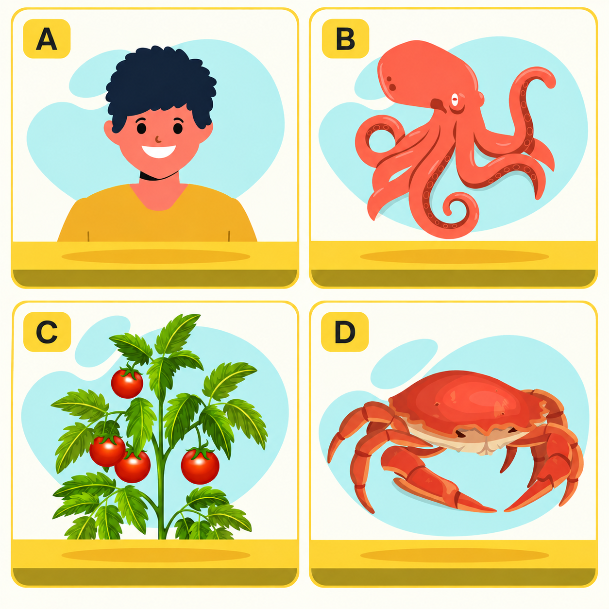 A four-panel illustration labelled A, B, C and D. Panel A shows a smiling child, panel B shows an octopus, panel C shows a tomato plant with ripe tomatoes, and panel D shows a crab. Each panel has a light blue background with a yellow border and base.