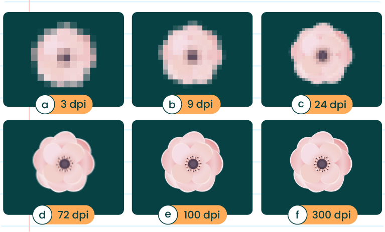 Imej ini menunjukkan enam gambar bunga berwarna merah jambu dengan resolusi yang berbeza. Setiap gambar ditandakan dengan dpi (dots per inch) yang berlainan: (a) 3 dpi: Gambar sangat kabur dan piksel besar kelihatan. (b) 9 dpi: Gambar masih kabur tetapi piksel sedikit lebih kecil. (c) 24 dpi: Gambar mula menunjukkan bentuk bunga dengan lebih jelas. (d) 72 dpi: Gambar bunga kelihatan lebih jelas dengan butiran yang lebih baik. (e) 100 dpi: Gambar bunga hampir jelas sepenuhnya dengan butiran yang baik. (f) 300 dpi: Gambar bunga sangat jelas dengan butiran yang sangat baik.