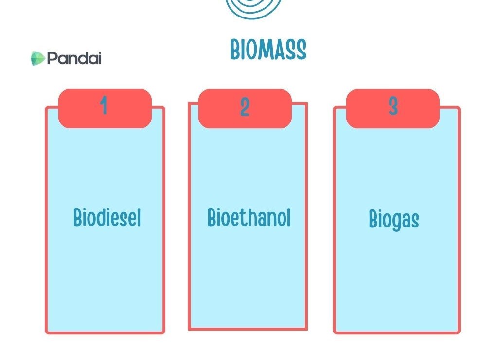 The image shows a diagram titled ‘Biomass’ with three sections labeled 1, 2, and 3. Each section has a red header and a light blue body. The sections are labeled as follows: 1. Biodiesel 2. Bioethanol 3. Biogas The logo ‘Pandai’ is in the top left corner.