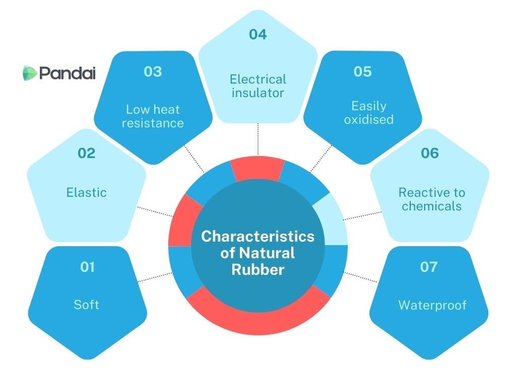 This is an infographic detailing the characteristics of natural rubber. It is organized in a circular layout with the central circle labeled ‘Characteristics of Natural Rubber.’ Surrounding this central circle are seven hexagons, each highlighting a specific characteristic: 1. Soft 2. Elastic 3. Low heat resistance 4. Electrical insulator 5. Easily oxidised 6. Reactive to chemicals 7. Waterproof The infographic is branded with the ‘Pandai’ logo in the top left corner. The color scheme primarily uses shades of blue and red.