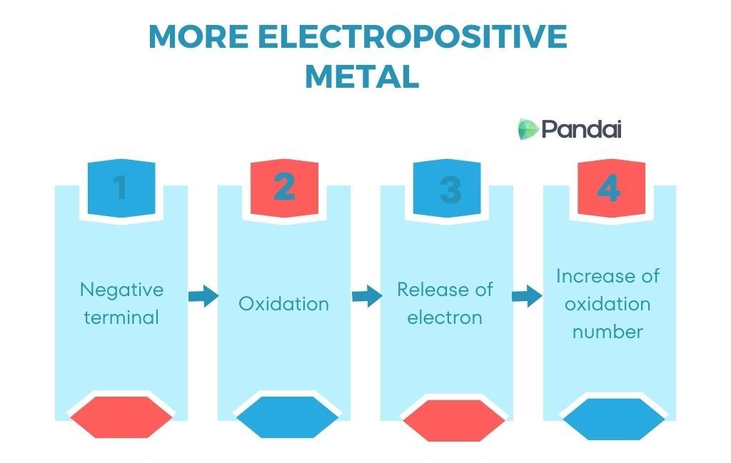 This image is an infographic titled ‘More Electropositive Metal.’ It features a four-step process: 1. Negative terminal 2. Oxidation 3. Release of electron 4. Increase of oxidation number Each step is represented by a rectangular box with arrows indicating the sequence from one step to the next. The boxes have a blue and red color scheme, and the logo ‘Pandai’ is present at the top right corner.