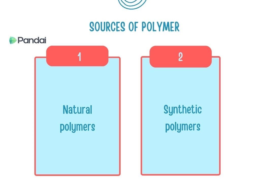 The image is a diagram titled ‘Sources of Polymer.’ It is divided into two sections. The first section, labeled ‘1,’ is titled ‘Natural polymers.’ The second section, labeled ‘2,’ is titled ‘Synthetic polymers.’ The background is white, and the text is in blue with red borders around the sections. The logo ‘Pandai’ is present in the top left corner.