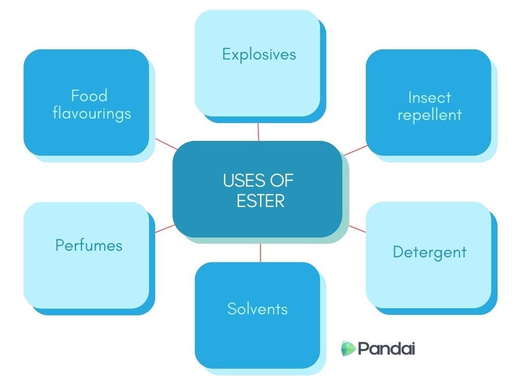 This image is a diagram illustrating the various uses of esters. At the center, there is a box labeled ‘USES OF ESTER.’ Surrounding this central box are six other boxes connected by lines. Each of these boxes contains a different use of esters: 1. Explosives 2. Insect repellent 3. Detergent 4. Solvents 5. Perfumes 6. Food flavourings The background is white, and the boxes are in shades of blue. The diagram is branded with the ‘Pandai’ logo at the bottom right corner.