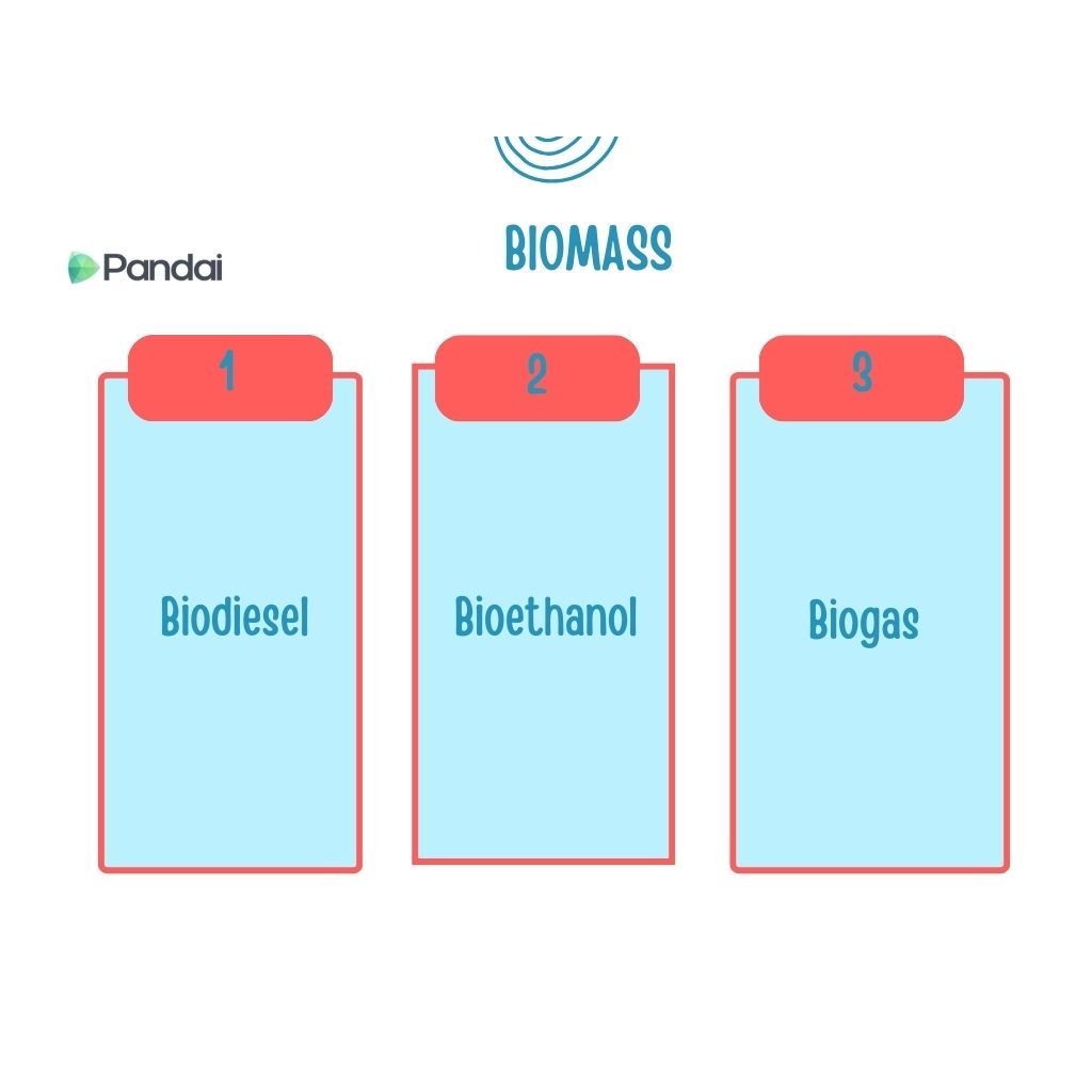 The image shows a diagram titled ‘Biomass’ with three sections labeled 1, 2, and 3. Each section has a red header and a light blue body. The sections are labeled as follows: 1. Biodiesel 2. Bioethanol 3. Biogas The logo ‘Pandai’ is in the top left corner.