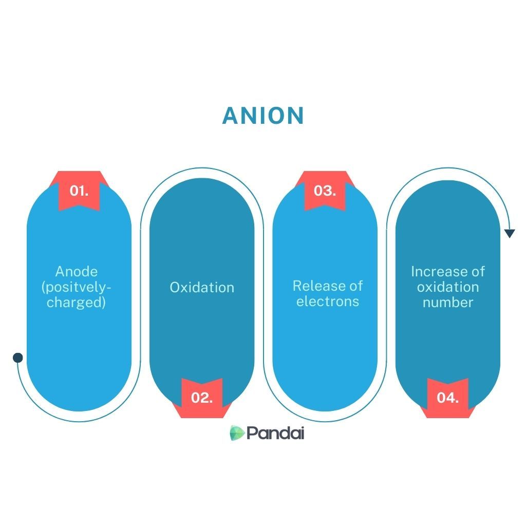 This image is a flowchart explaining the process related to anions. It consists of four blue, rounded rectangles arranged in a horizontal sequence. Each rectangle contains white text and is numbered from 01 to 04 with red labels at the top. The steps are as follows: 1. Anode (positively-charged) 2. Oxidation 3. Release of electrons 4. Increase of oxidation number At the bottom center, the logo and name ‘Pandai’ are displayed.