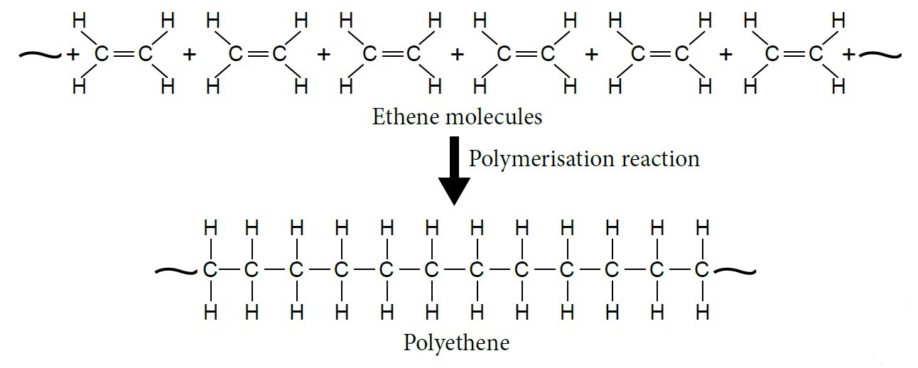 Polymer