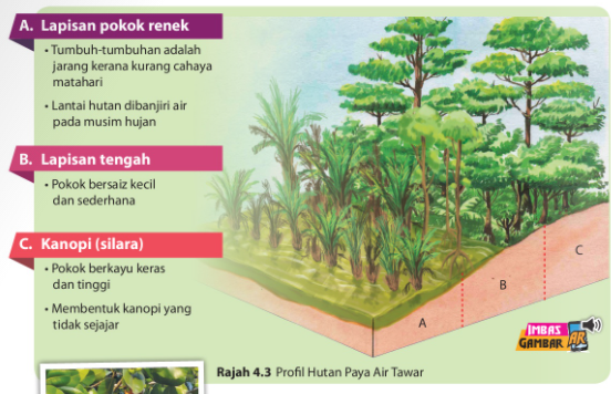 Pengaruh Persekitaran Fizikal Terhadap Kepelbagaian Tumbuh Tumbuhan Semula Jadi Dan Hidupan Liar