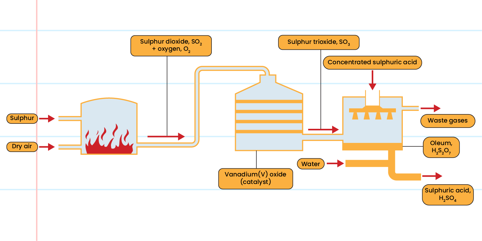 Contact process