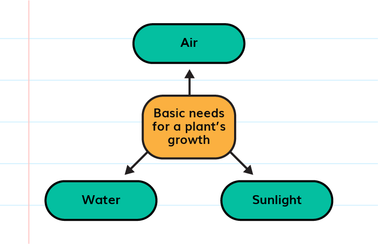Growth Of Plants