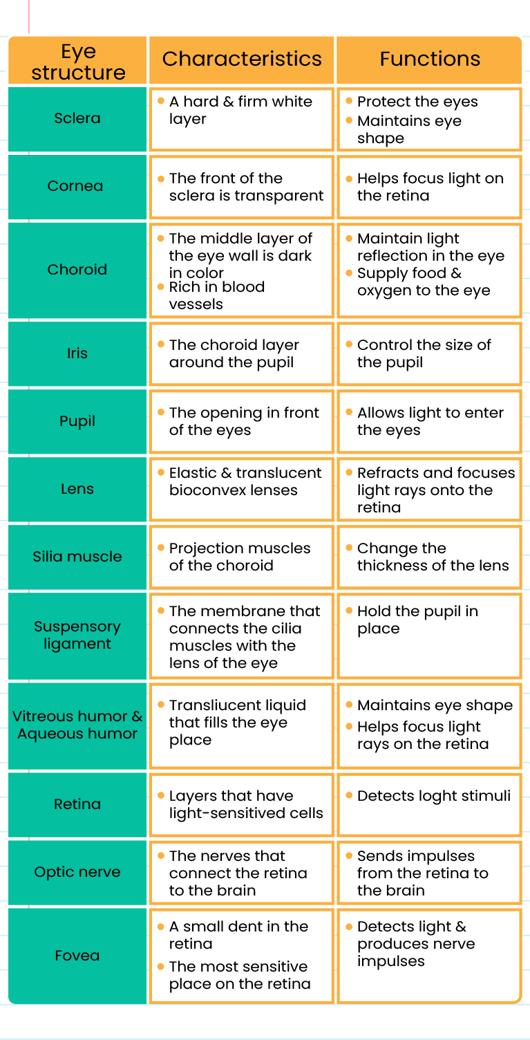 stimuli-and-responses-in-human