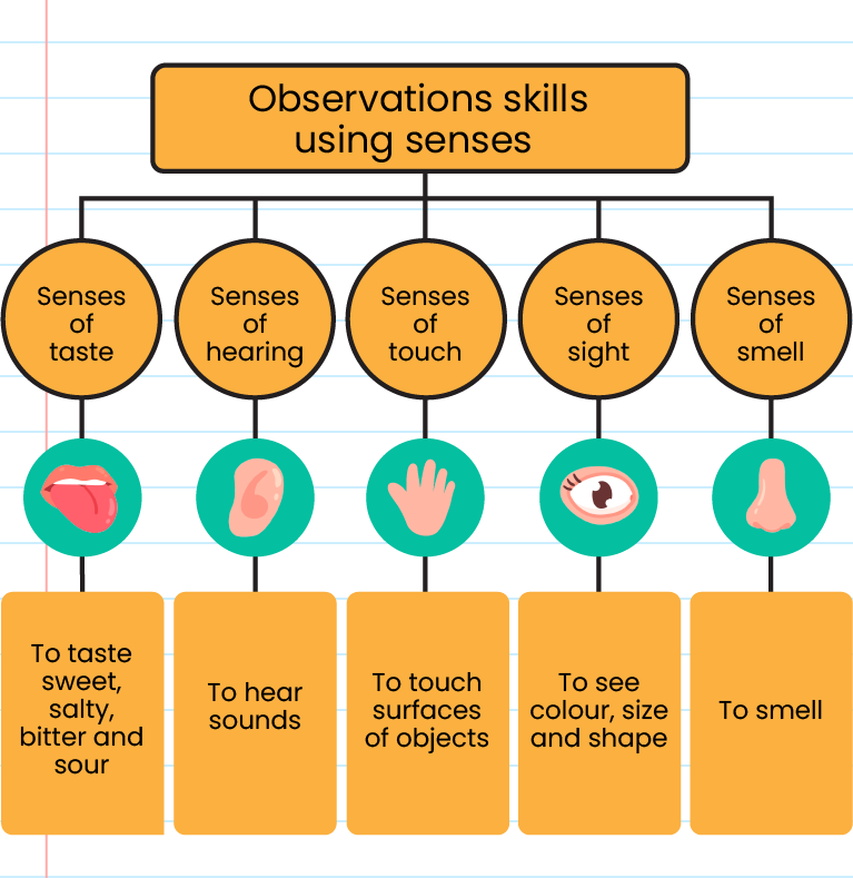 science-process-skills