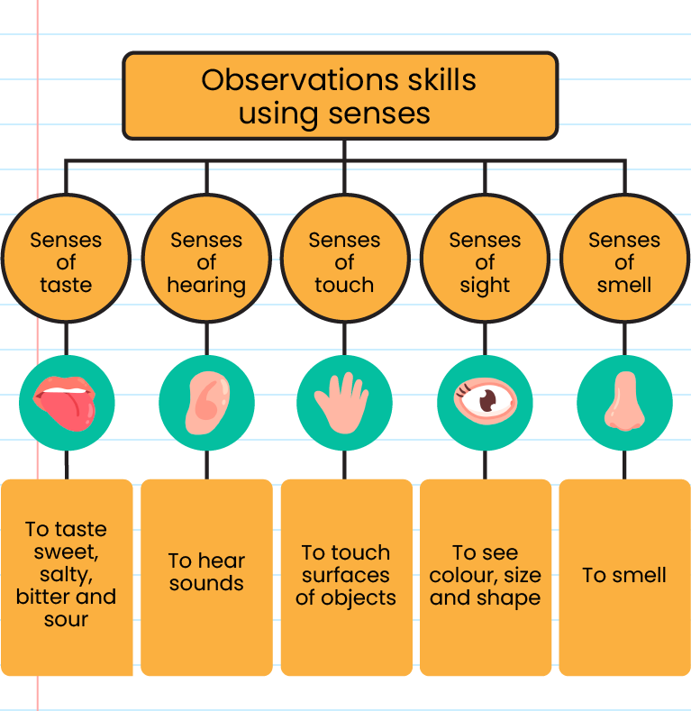 Science Process Skills