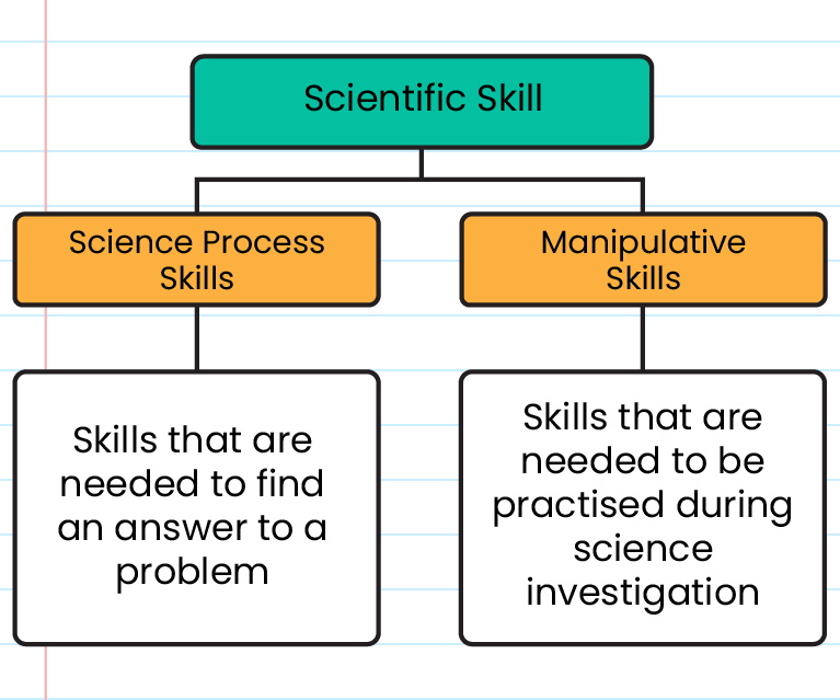 Science Process Skills