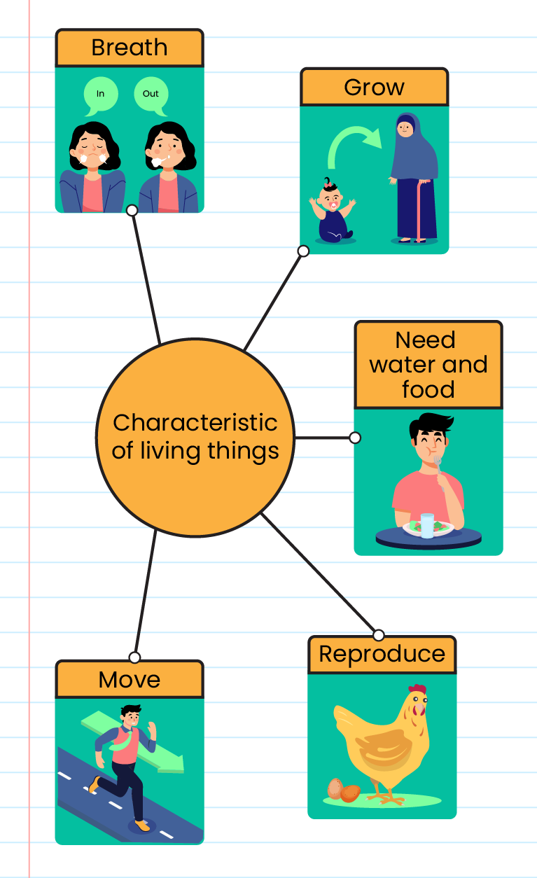 Living and Non Living Things - Characteristics & Examples