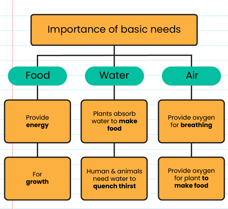 essay on basic needs of life