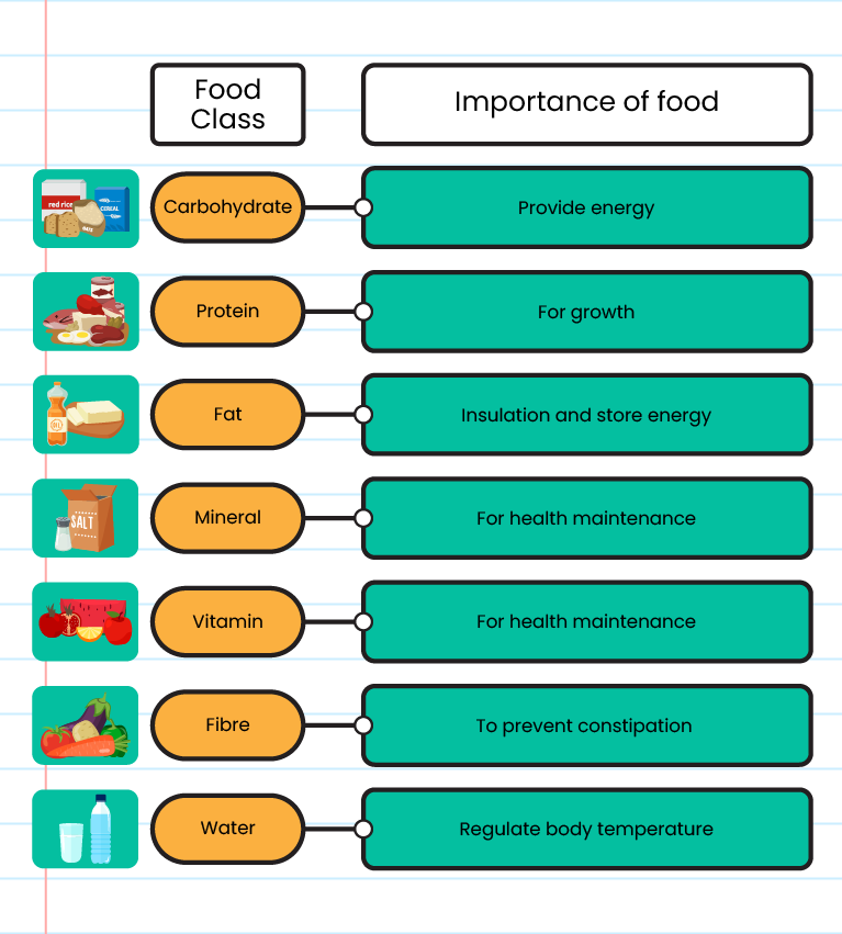 Classes Of Food Science Year 3 Worksheet