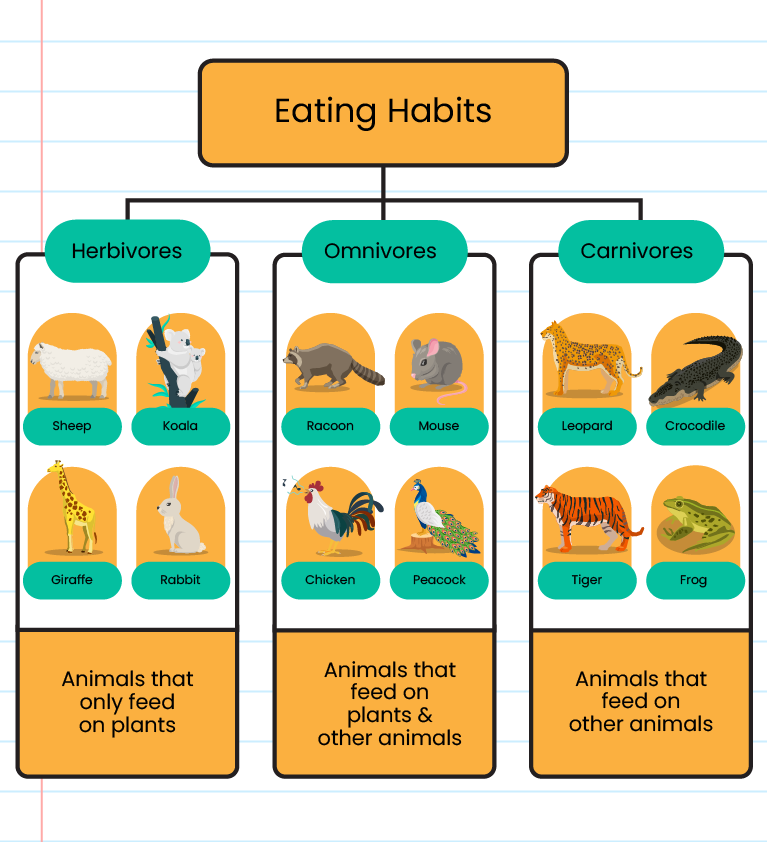 Animals' eating habits