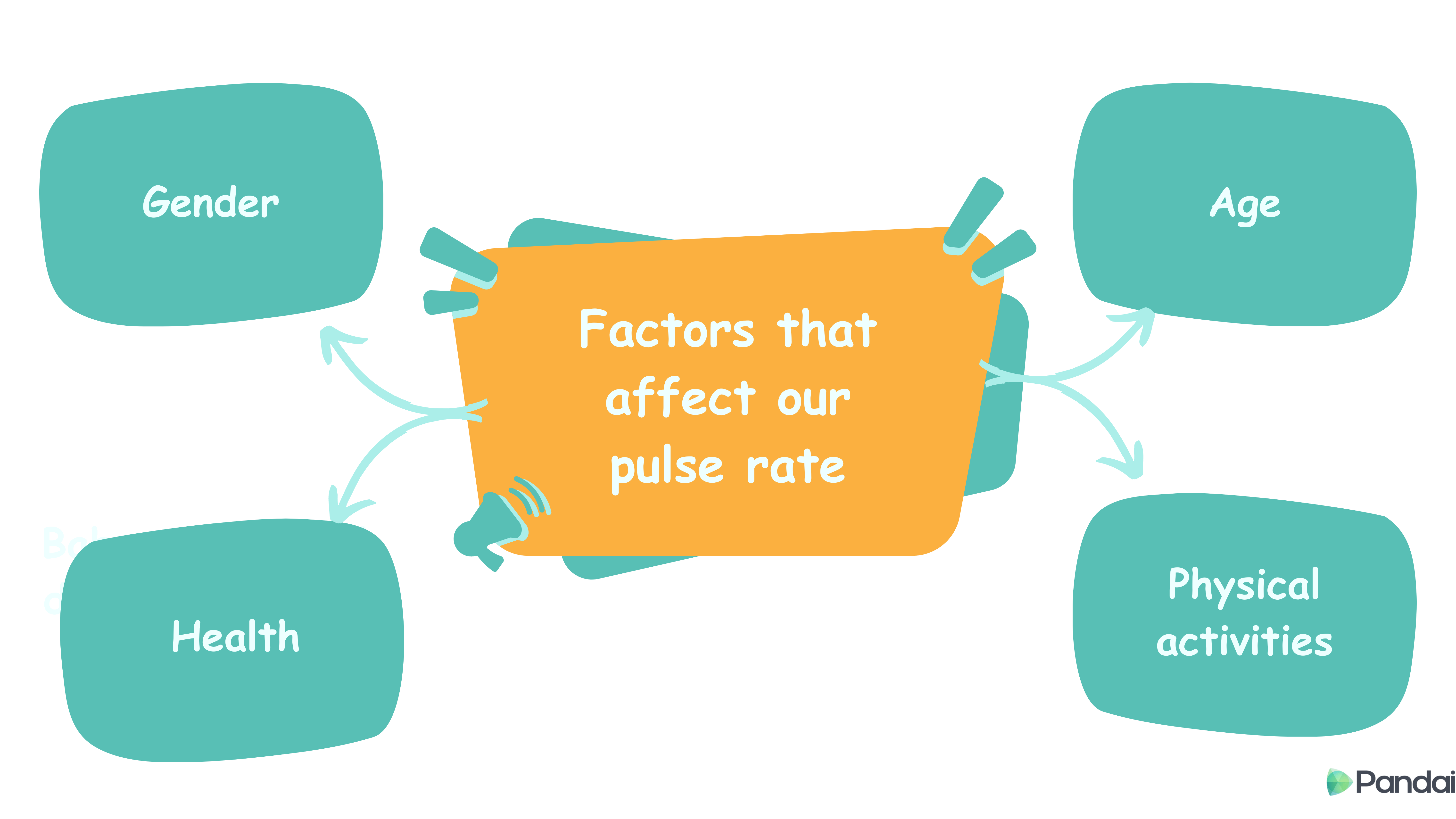 Factors that affect our pulse rate