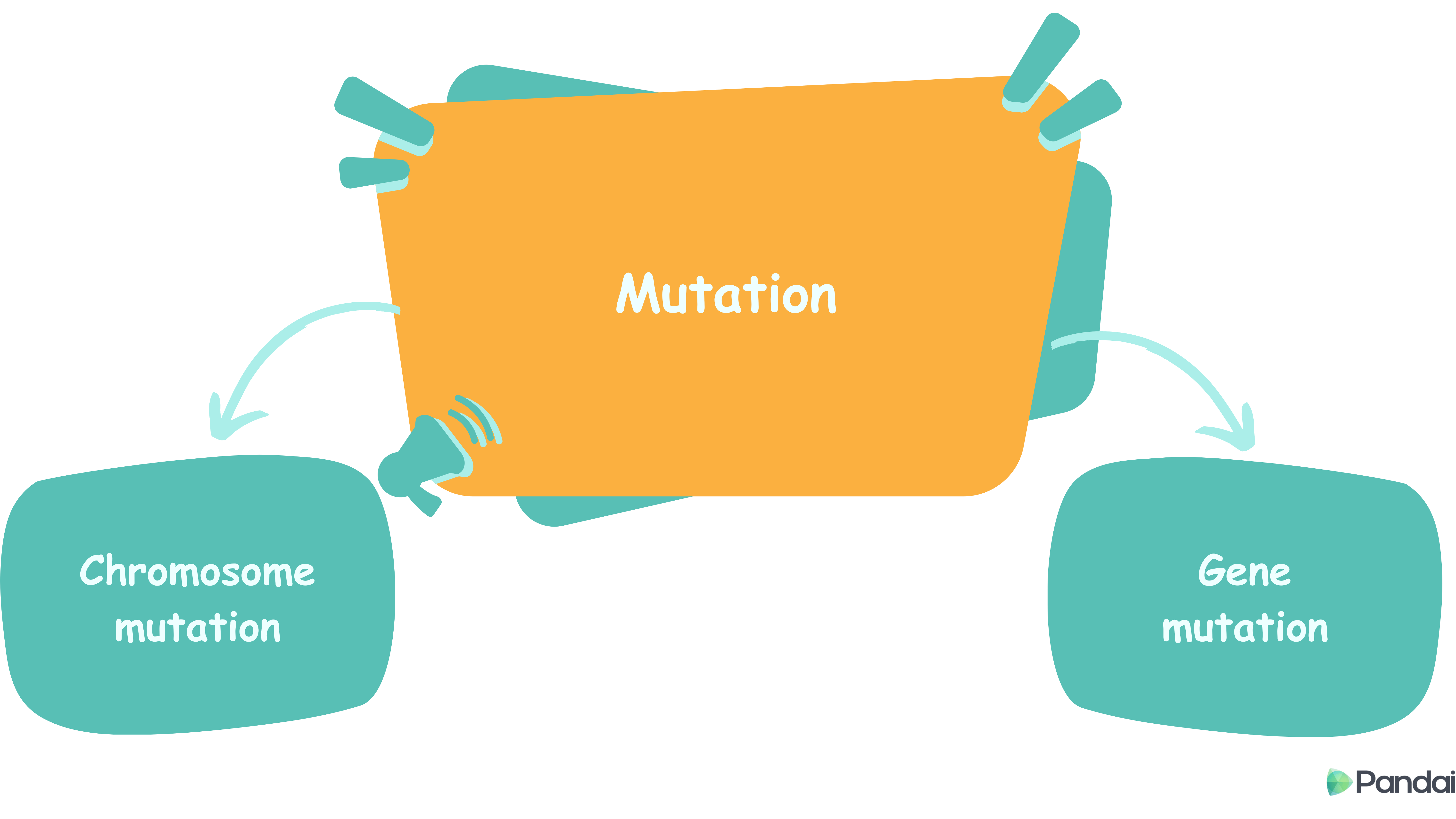 Mutation