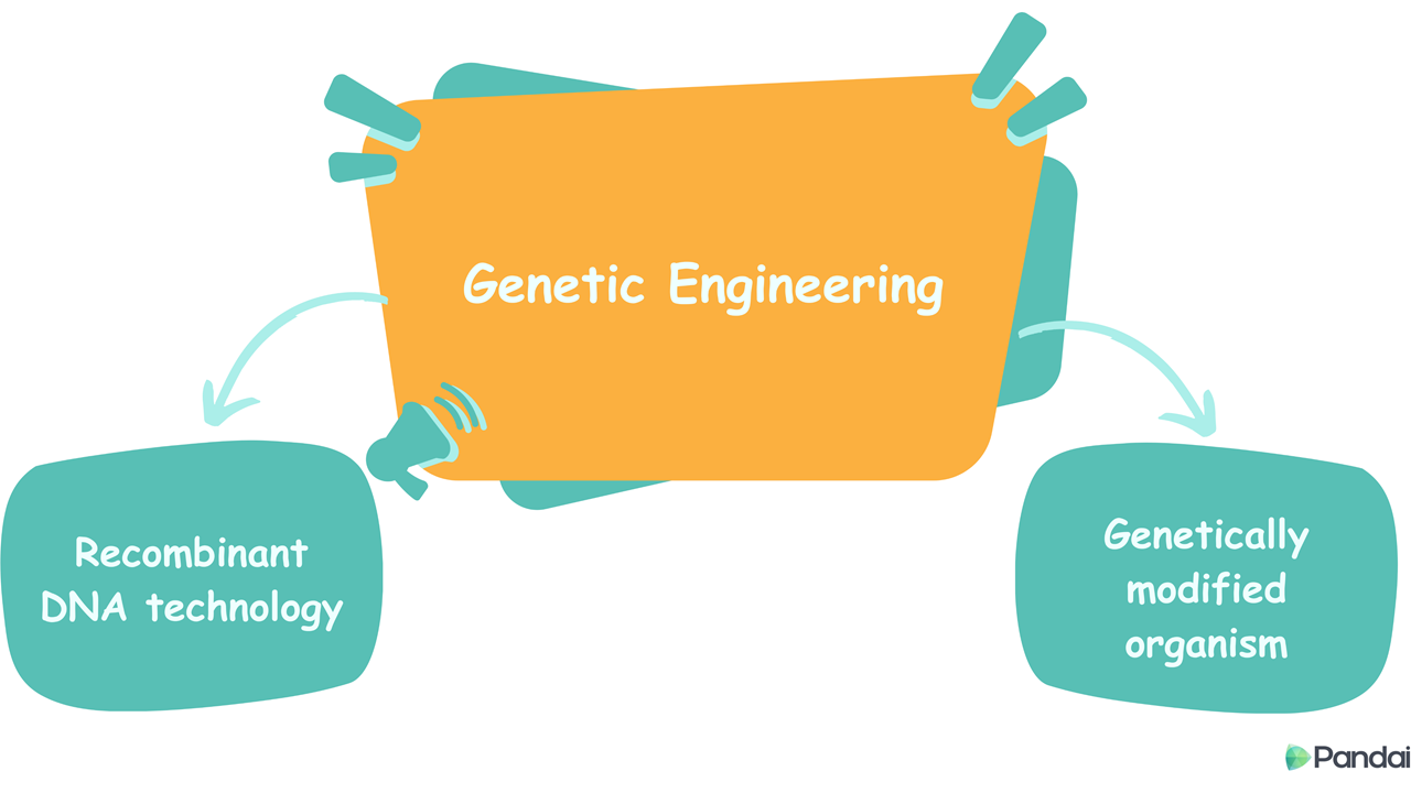 Genetic Engineering