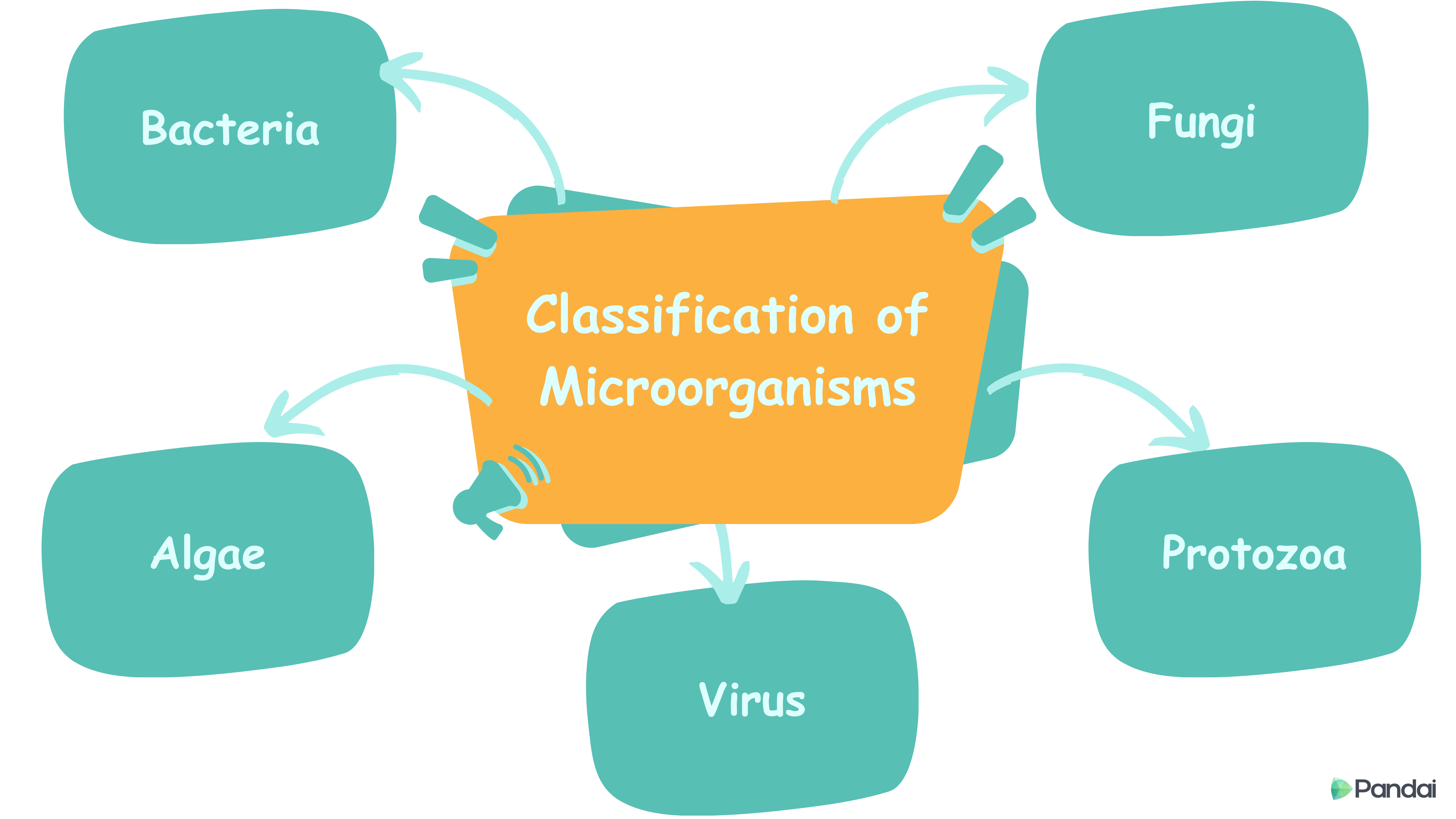 Classification of Microorganisms.