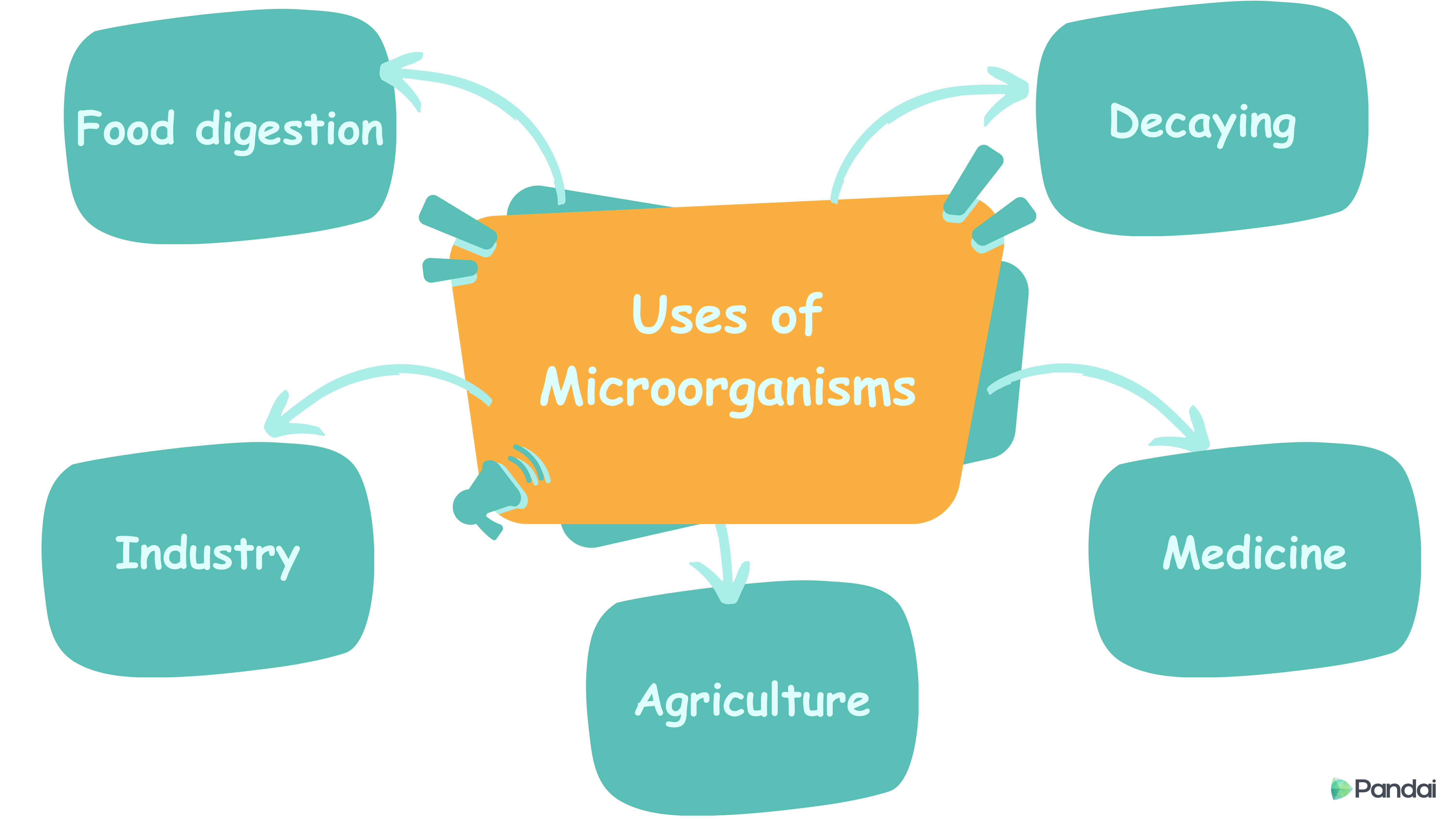 Uses of Microorganisms