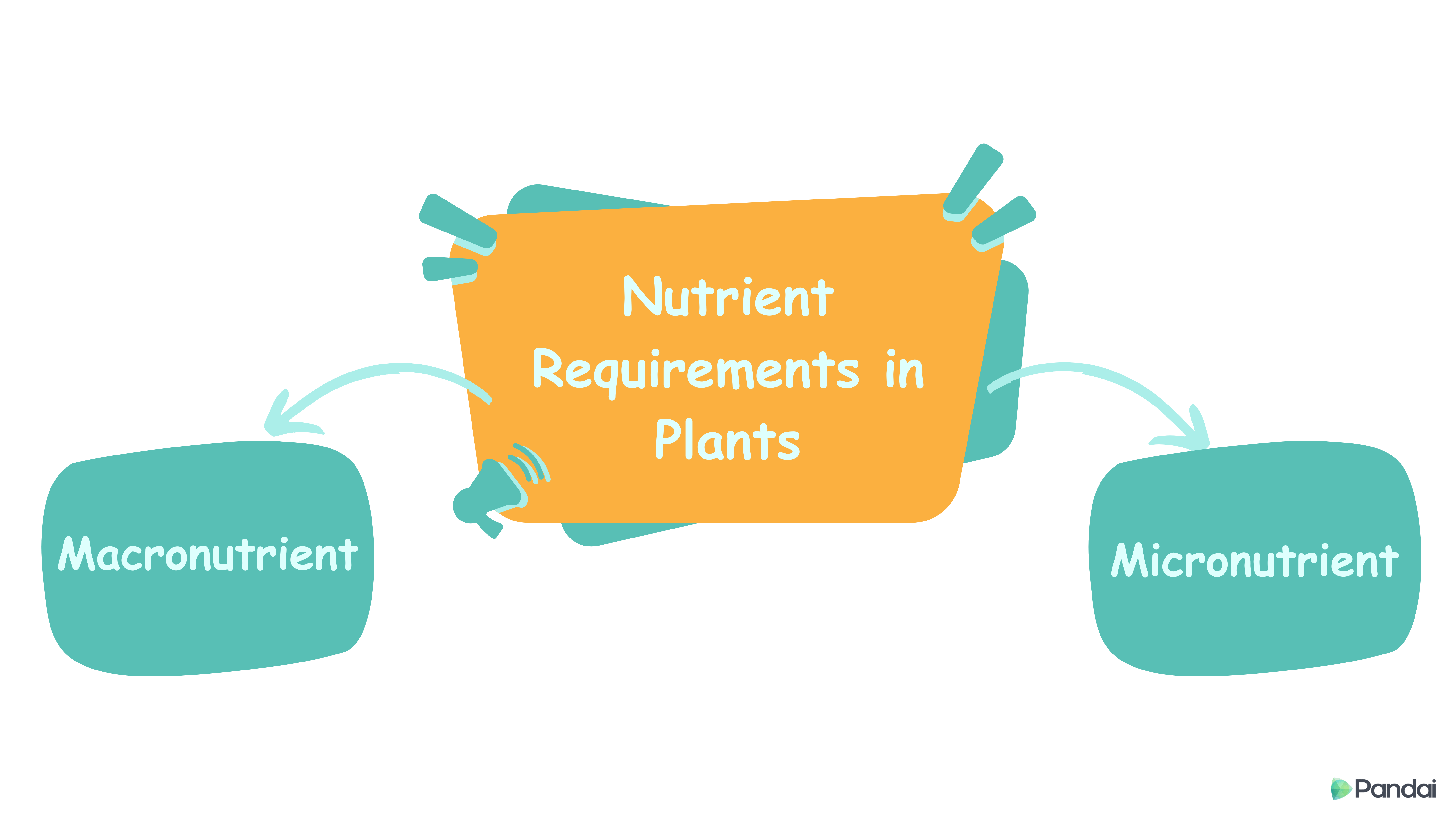Nutrient Requirements in Plants