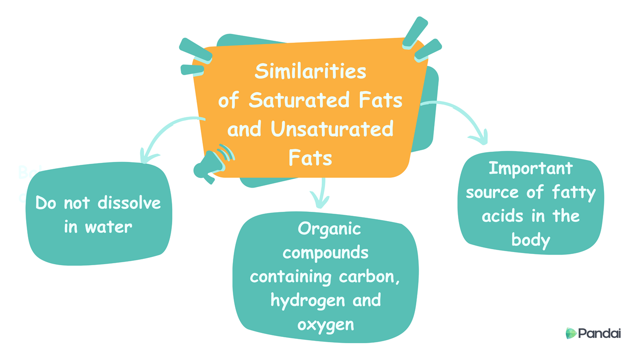 Similarities of Saturated Fats and Unsaturated Fats.